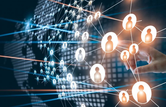 Networking and Partnerships